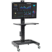 LCD & Plasma Carts