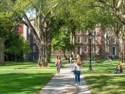 Higher Education